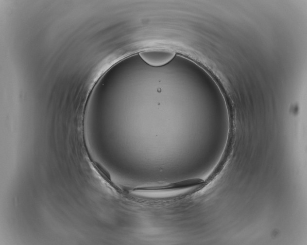 X0000090981529200708091447