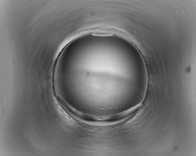 X0000090981530200708091447