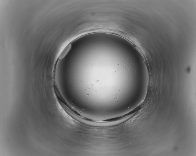 X0000090981532200708091447