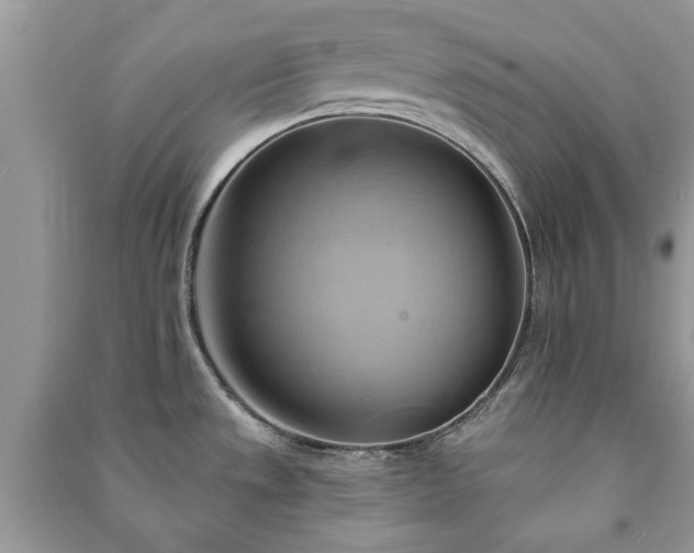 X0000090981533200708091447