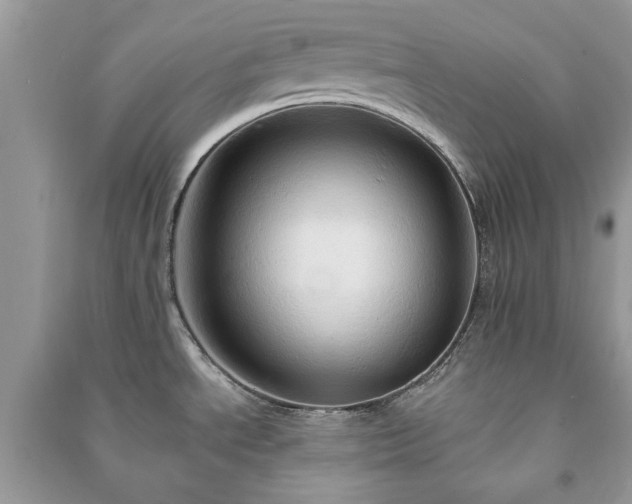 X0000090981534200708091447