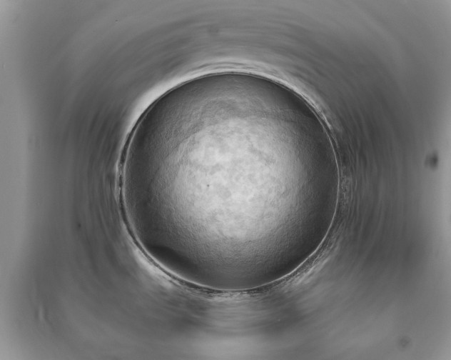 X0000090981535200708091447