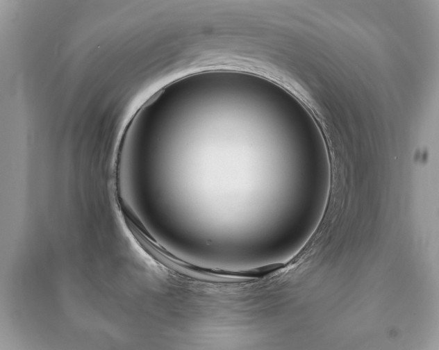 X0000090981536200708091447