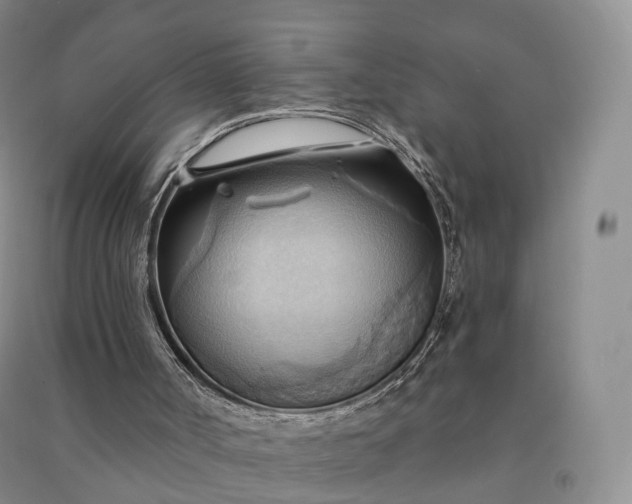 X0000090980002200708161905