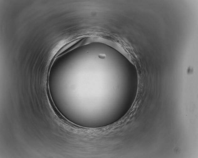 X0000090980003200708161905