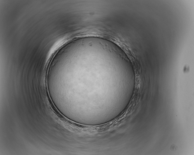 X0000090980004200708161905