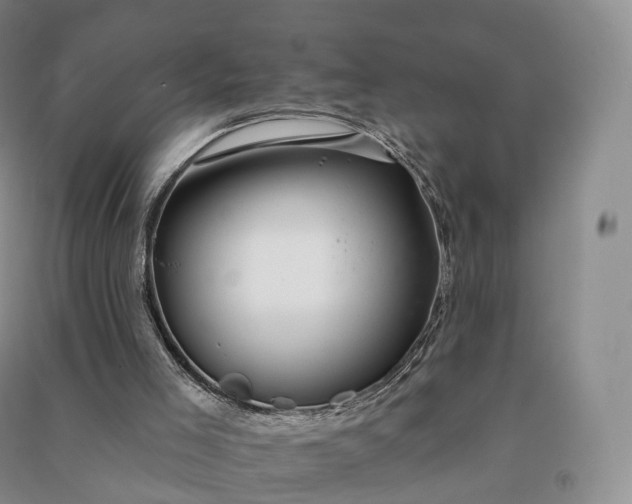 X0000090980005200708161905