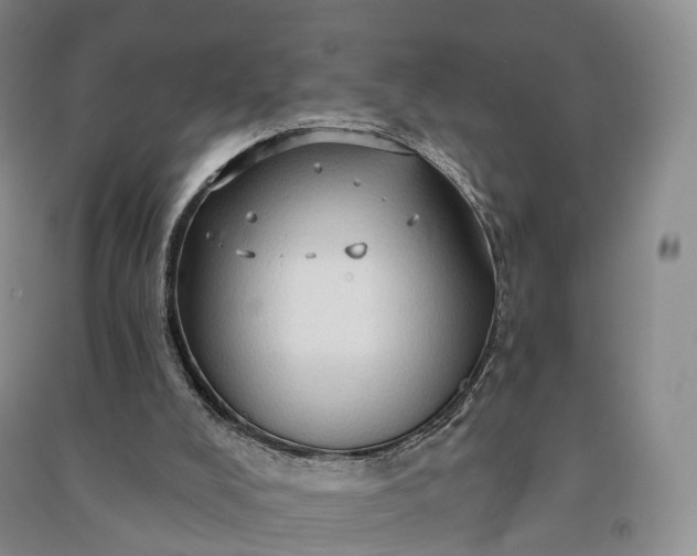 X0000090980008200708161905