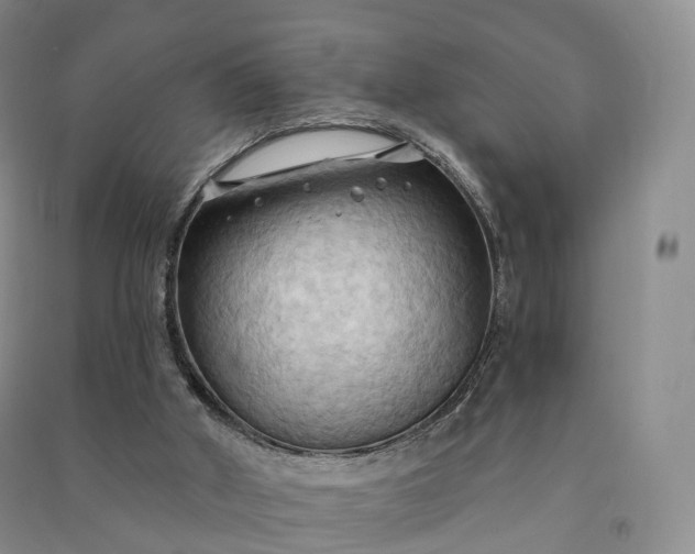 X0000090980010200708161905
