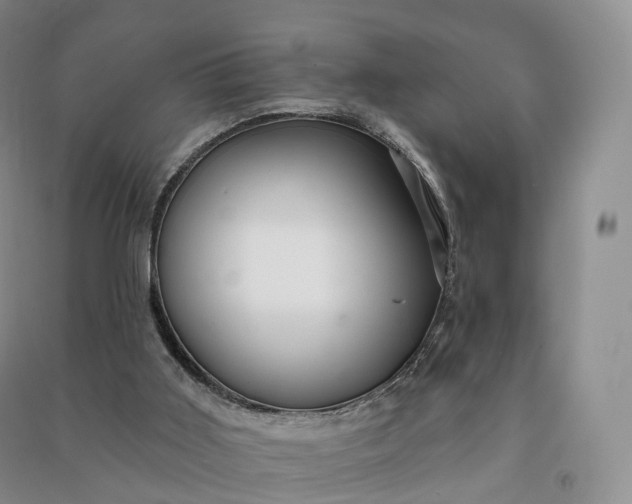 X0000090980011200708161905