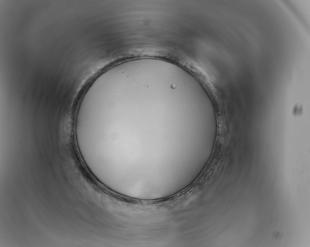 X0000090980012200708161905