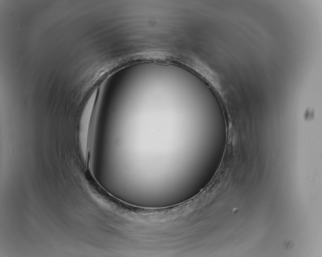 X0000090980013200708161905