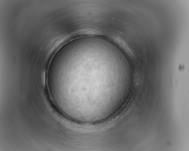 X0000090980014200708161905