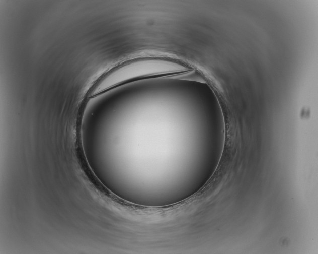 X0000090980015200708161905