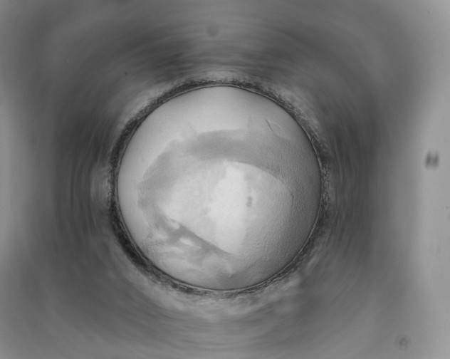 X0000090980016200708161905