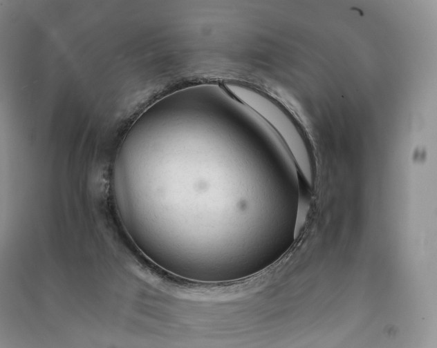 X0000090980017200708161905