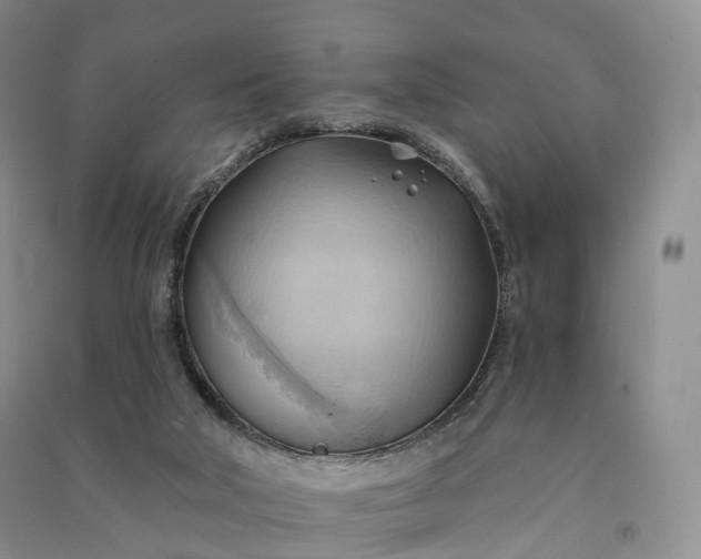 X0000090980018200708161905