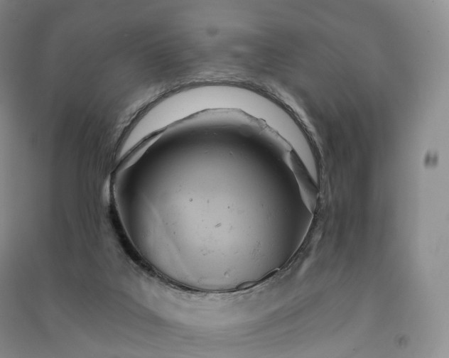 X0000090980019200708161905