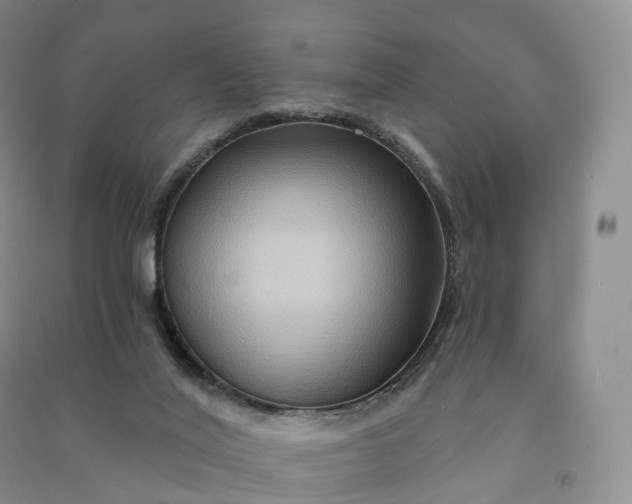 X0000090980020200708161905