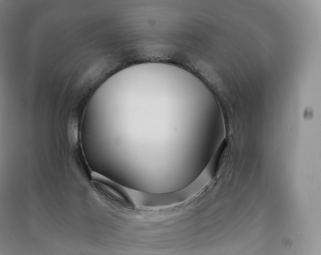 X0000090980021200708161905