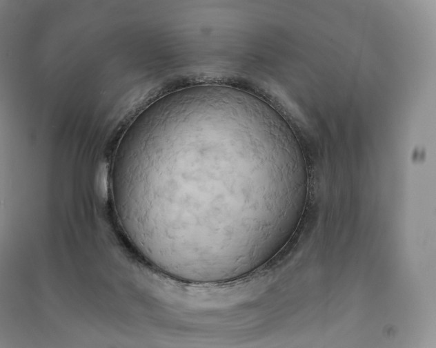 X0000090980022200708161905