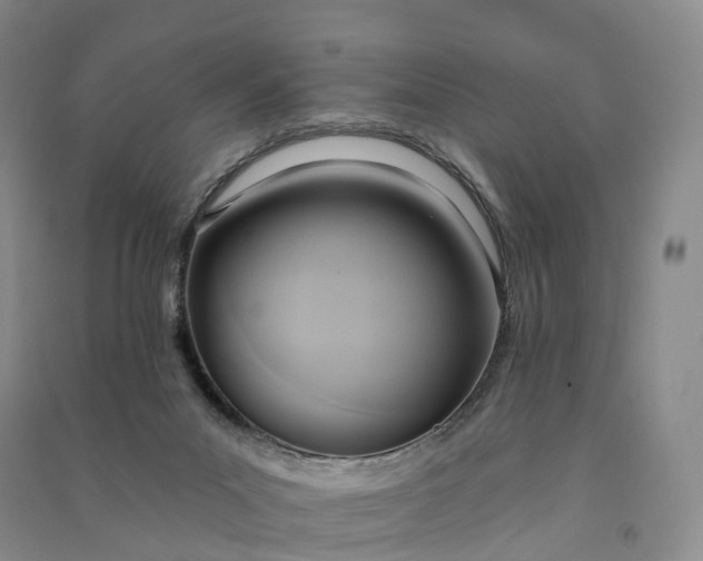 X0000090980023200708161905
