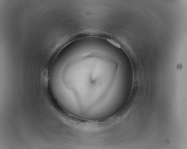 X0000090980024200708161905