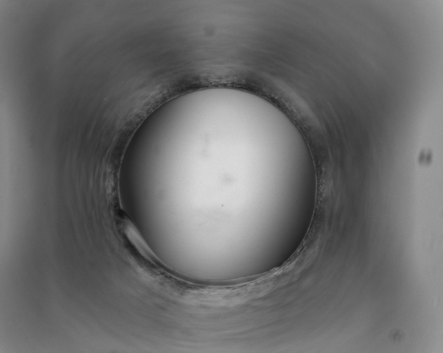 X0000090980025200708161905