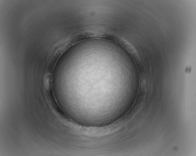 X0000090980026200708161905