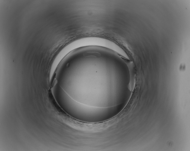 X0000090980027200708161905