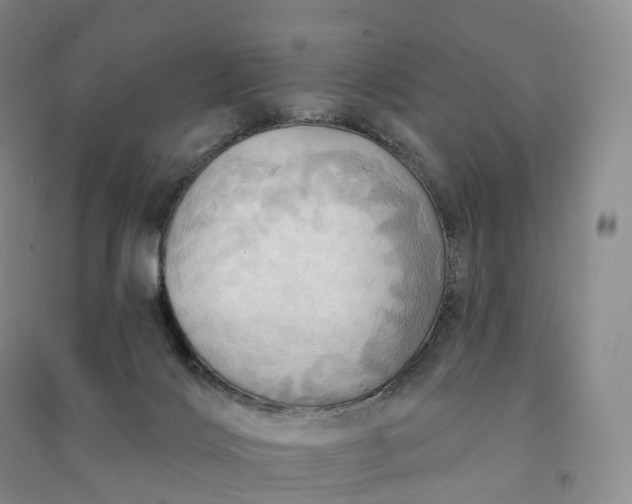 X0000090980028200708161905