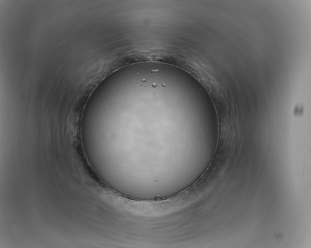 X0000090980030200708161905