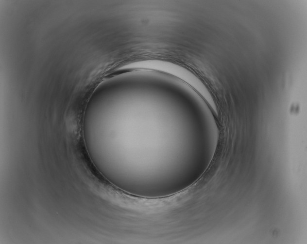 X0000090980031200708161905