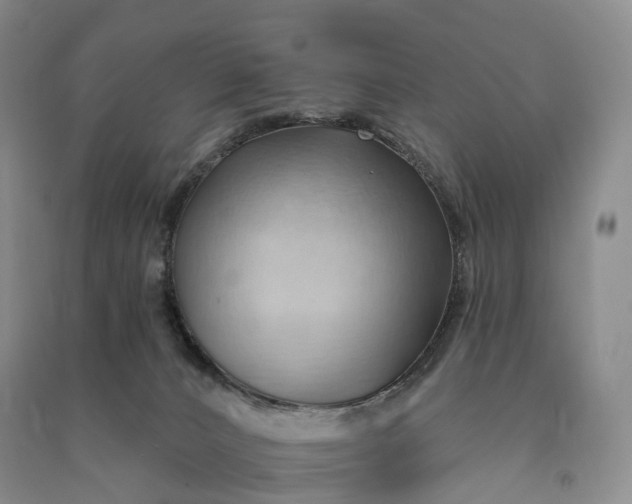 X0000090980032200708161905