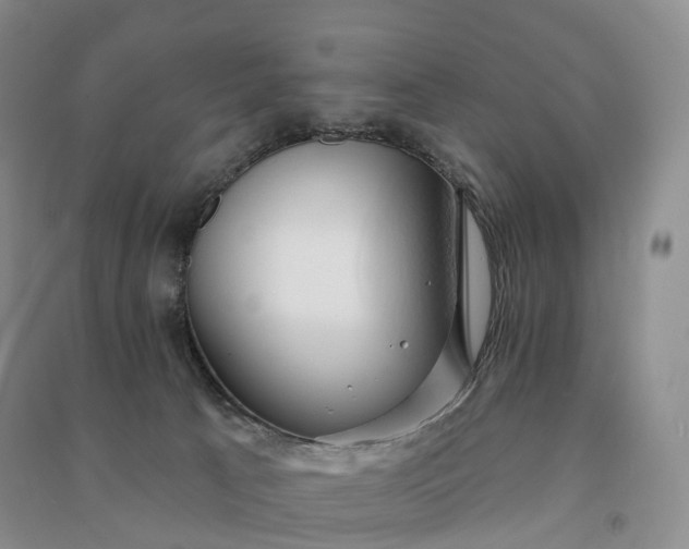 X0000090980033200708161905