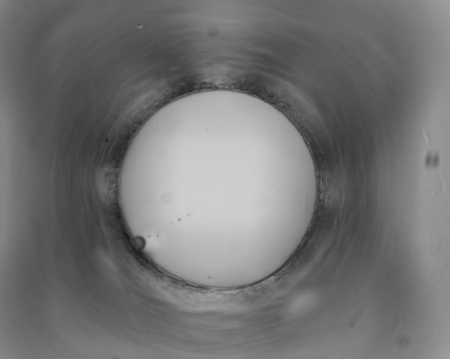 X0000090980036200708161905