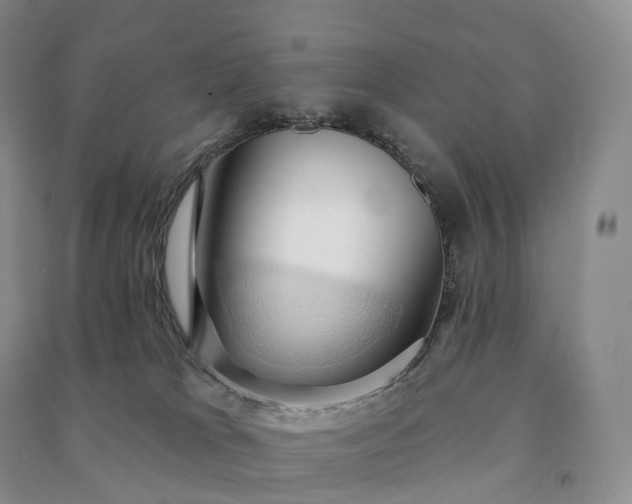 X0000090980037200708161905