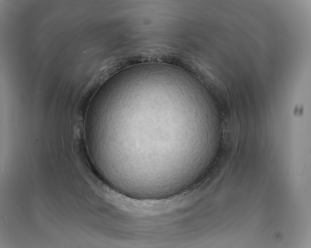 X0000090980038200708161905
