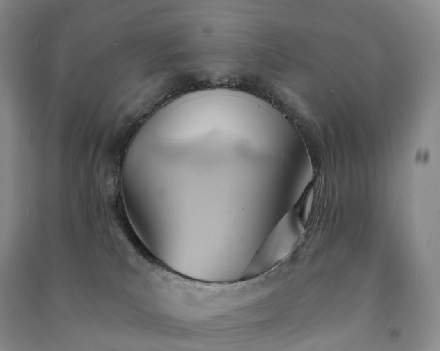 X0000090980039200708161905