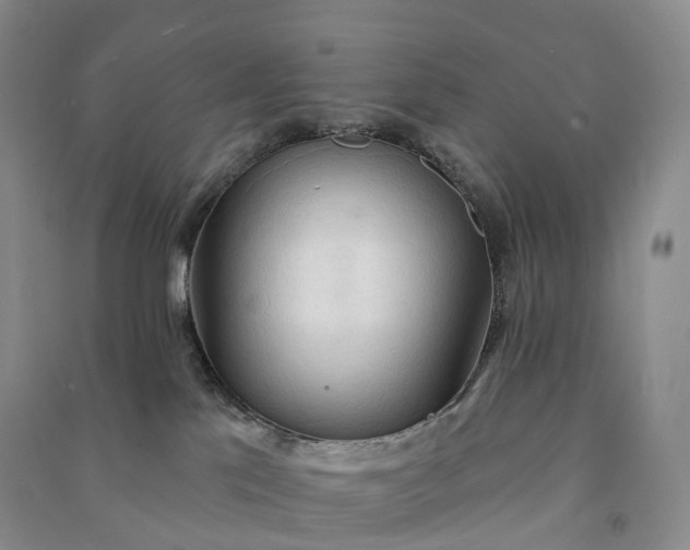 X0000090980041200708161905