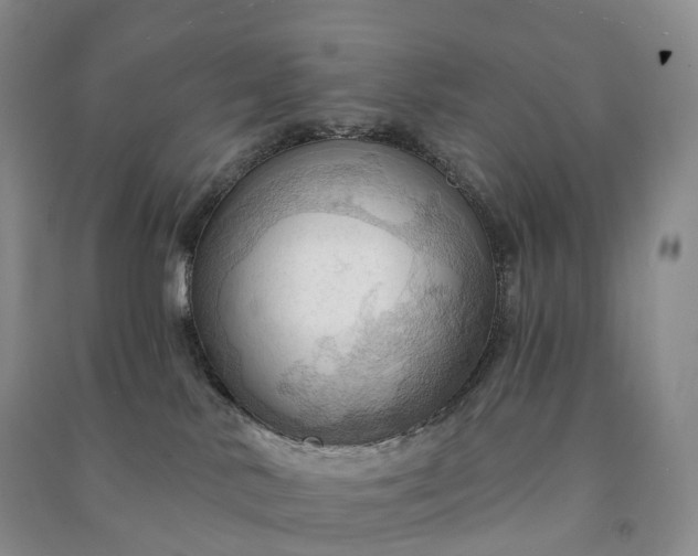 X0000090980042200708161905