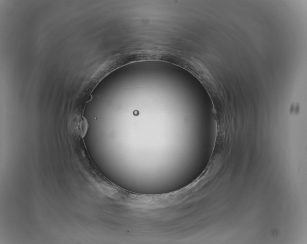 X0000090980045200708161905