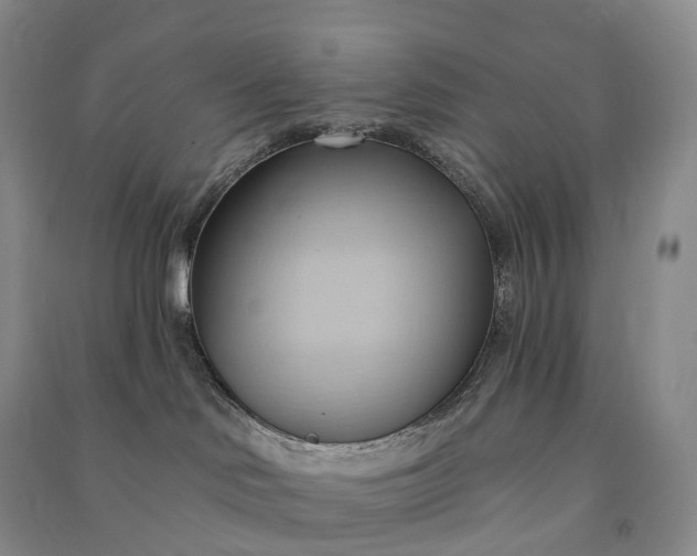 X0000090980046200708161905