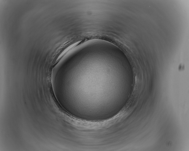 X0000090980048200708161905