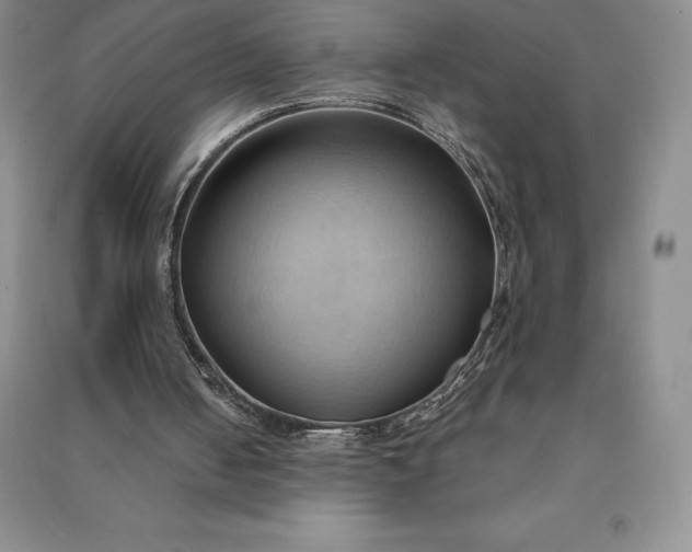 X0000090980050200708161904