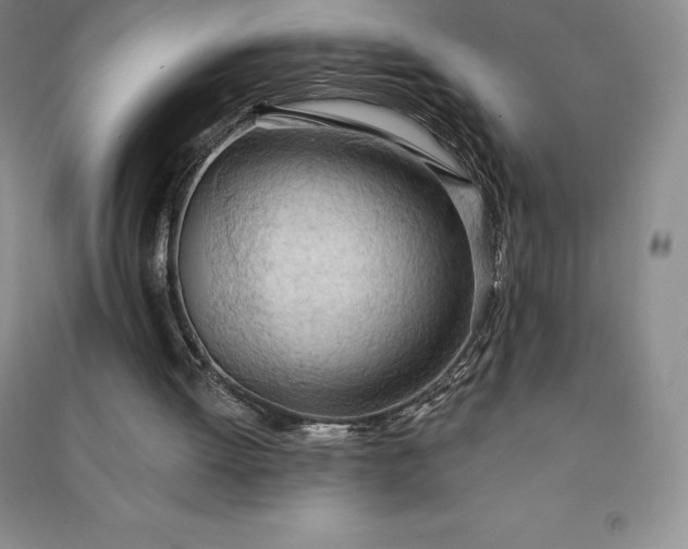 X0000090980052200708161904