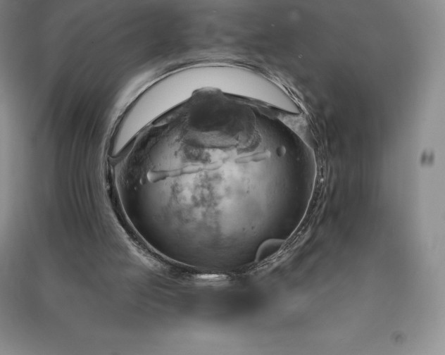 X0000090980053200708161904