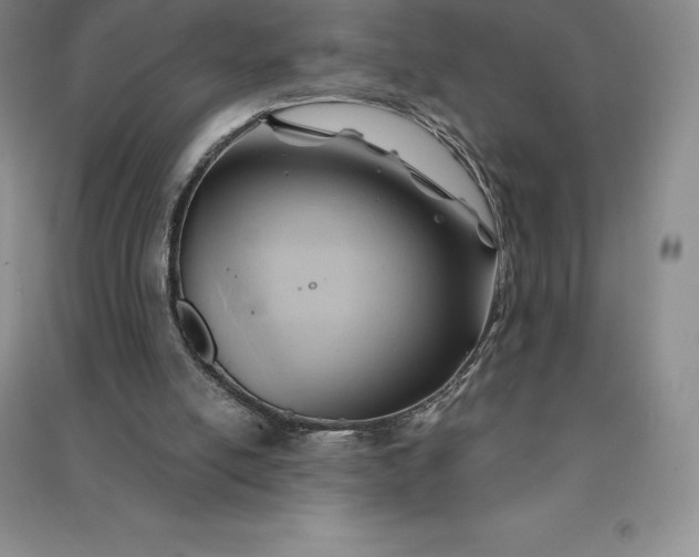 X0000090980054200708161904