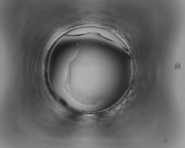 X0000090980055200708161904