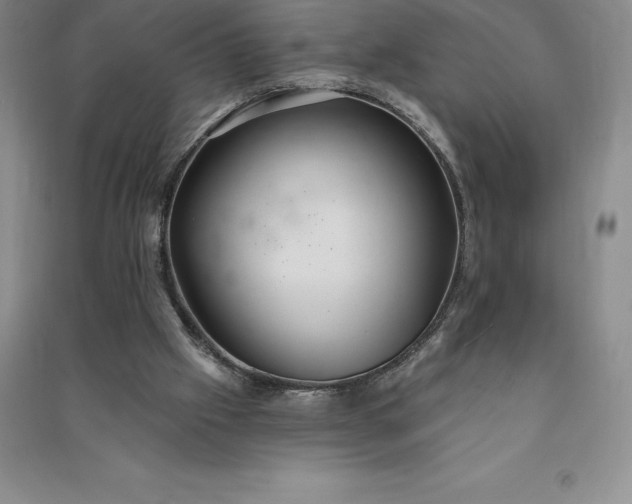 X0000090980057200708161904